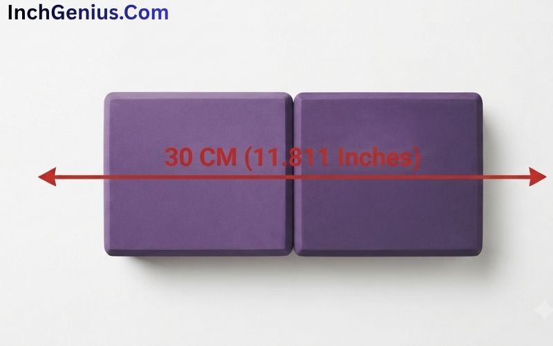 How Big is 30 CM?