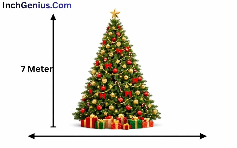 How Long is 7 Meter?