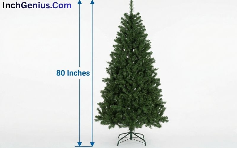 How Long is 80 Inches?