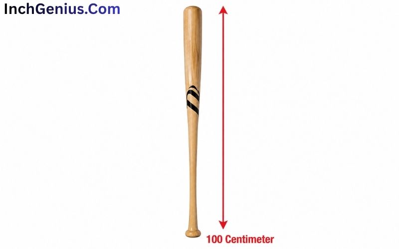 How Big is 100 CM?