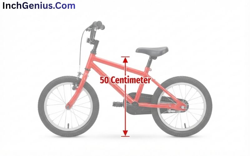 How Big is 50 CM?