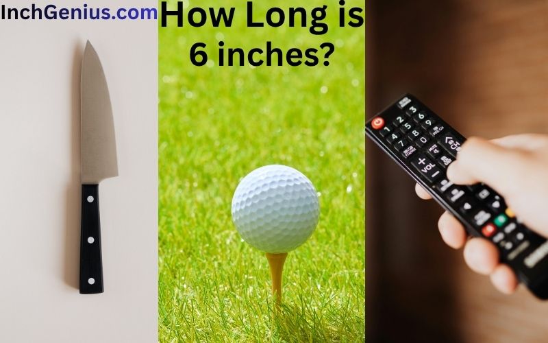 How Long is 6 Inches?