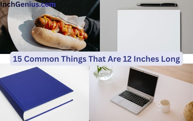 How Long is 12 Inches?