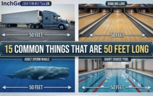 How Long is 50 Feet?