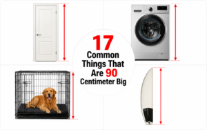 How Big is 90 Centimeter?