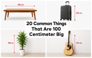 How Big is 100 CM?
